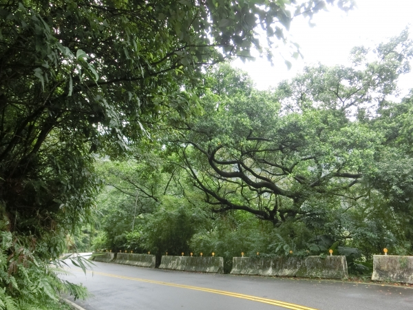 魚路古道（天籟八煙段）．八煙聚落95196