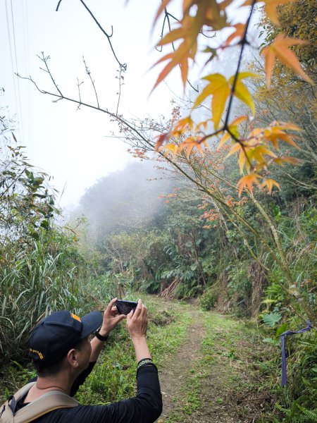 2025-03-08 汶水三山：金童山、汶水山、玉女山 連走2736544