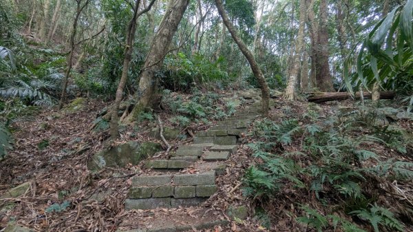 橫龍山、橫龍古道2682928