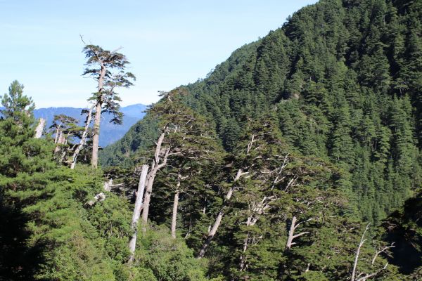 合歡溪步道健行174461