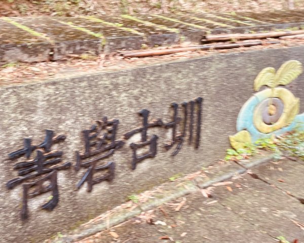 尋訪四國八十八番 石佛（藥師釋迦如來）觀音山石佛-弘法大師-水濂洞山-林安泰古宅2814367