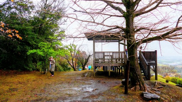 宮崎青島,母智丘,桷志田,櫻島,渡輪3027900