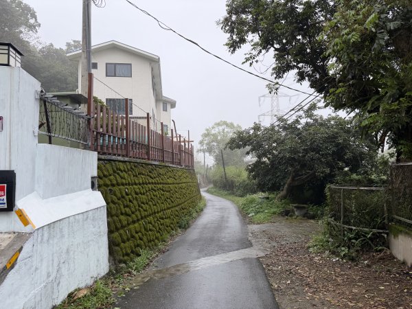 [樟之細路_第一大段RSA06] 2026_0329 打牛崎古道3027165