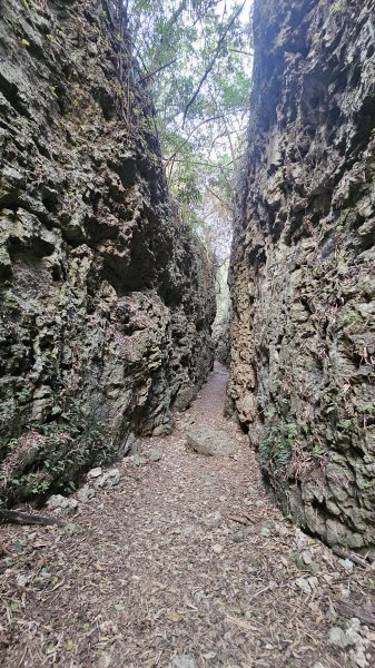 【即使簡單也要心存敬畏！】小百岳#074-大崗山、盤龍峽谷一線天O繞。3025837