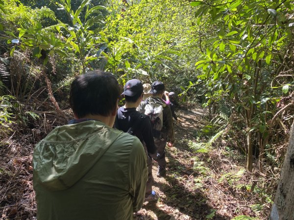 2025微笑山線大縱走尋寶集章任務-Ep.04【天上山系】望月亭桐花段｜石門內尖山東峰 ×石門內尖山2979170