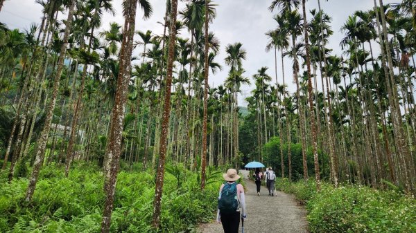 【中級山】台南第一高峰，關子嶺大凍山2741123