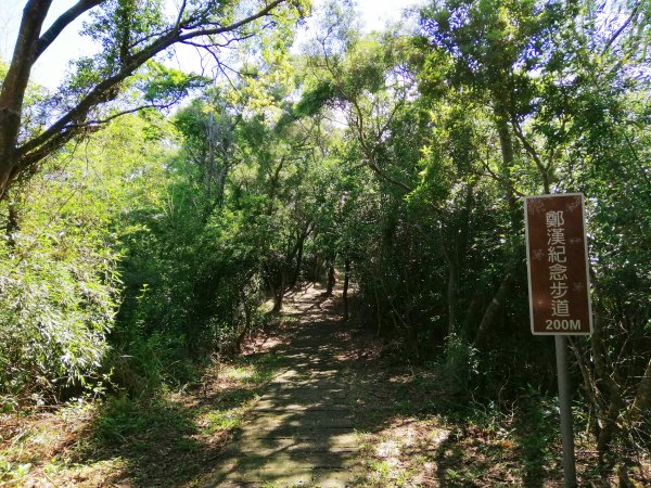 迷人的C型鐵道還有綠油油的稻田~鄭漢步道990694