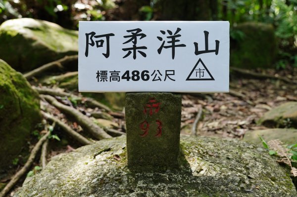 臺北 二格山、南邦寮山、阿柔洋山