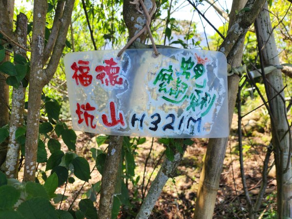 小百岳No.19⛰福德坑山(鳶山)2739709