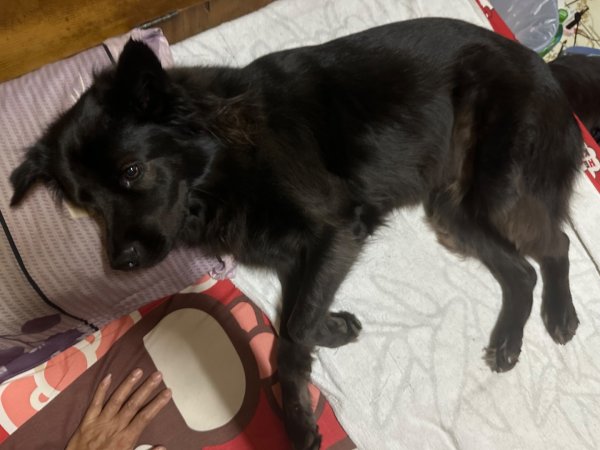 苗栗金童山、玉女山、汶水山2672917