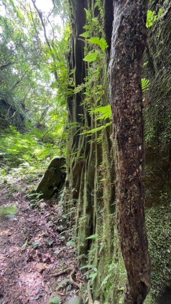 烏月山群峰--向天湖古道2515289