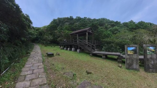 20251115_草嶺古道追芒趣2942950