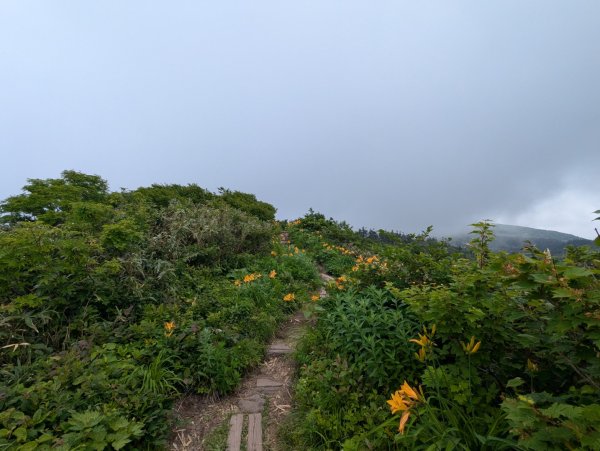 20260703 秋田森吉山3081911