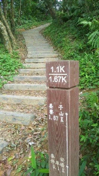 姜子寮山步道653257