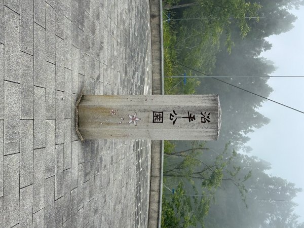 嘉義大凍山大塔山+紅毛埤山3067131