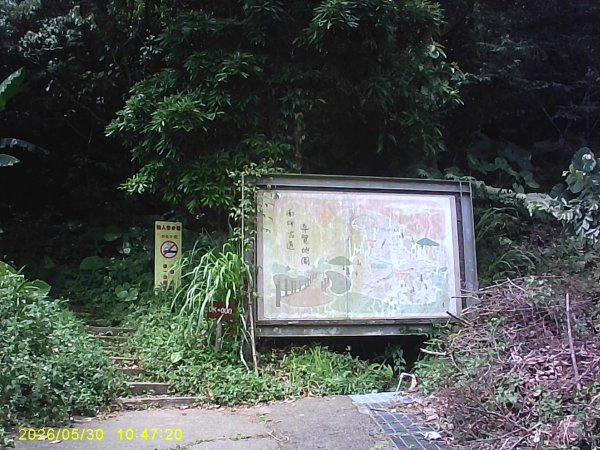 內灣南坪古道、馬胎古道及內灣O繞，順道拜訪位移總督府交通局遞信部基石。3067400