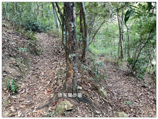 東卯山、東卯山西峰、東卯山西南峰 連走2932844