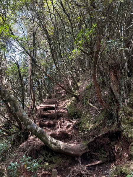 谷關七雄 《 馬崙山 》2025 09/062879772