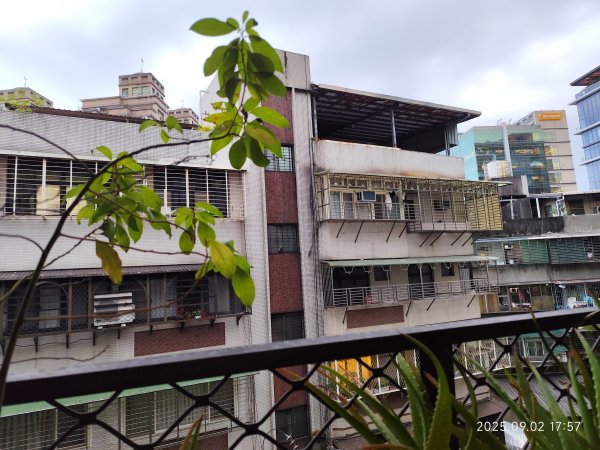 劍潭公園、八二三砲戰紀念公園【臺北健走趣】2878762