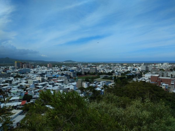 步道巡訪員 l 鯉魚山步道七月巡訪日誌1050319