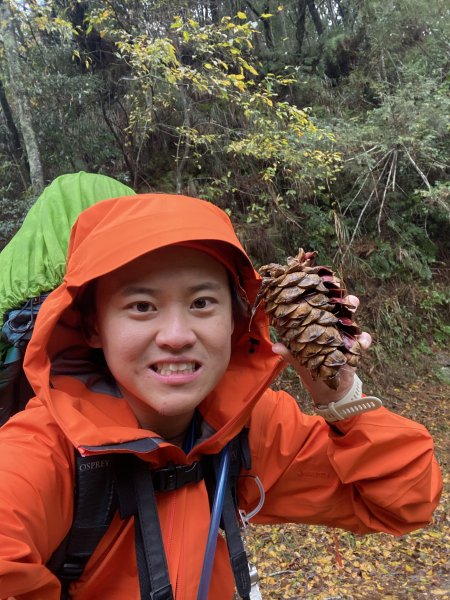 大霸尖山3日(2024.12.24~12.26)2813821