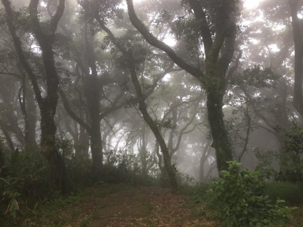 向天池-向天山-面天山638262