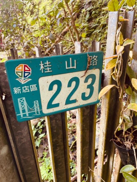 烏來大桶山野餐輕鬆愜意行2630322