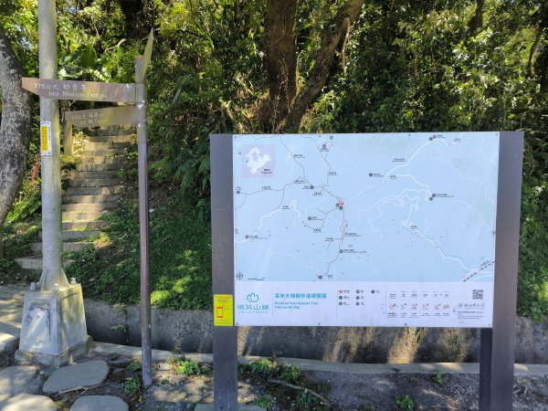 20250815微笑山線大棟山系百年大榕樹段2859907