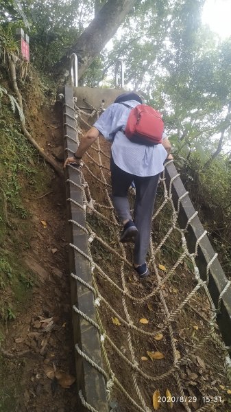 1090829望古瀑布、嶺腳寮山登山步道1082917