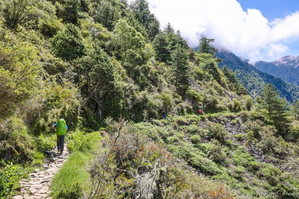 [百岳]玉山群峰第四回：玉山東峰2232293