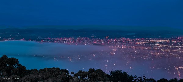 陽明山趴趴走 #琉璃光雲海 ，首拍 #綠鳩 4/272770746