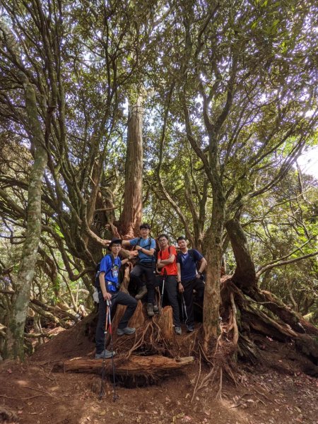 中級山-高島縱走2888431