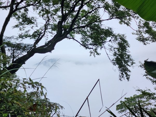 小百岳No.36⛰關刀山3050473