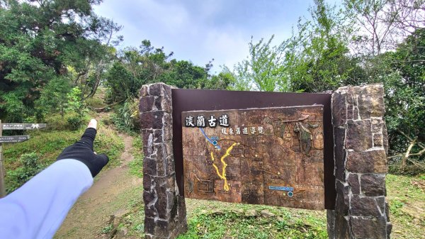 暖東峽谷步道+頂子寮山550m2060546