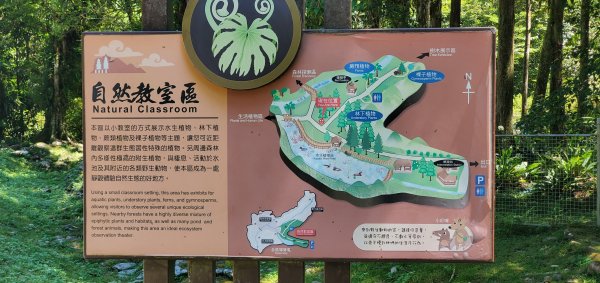 2022-07-23福山植物園1772940