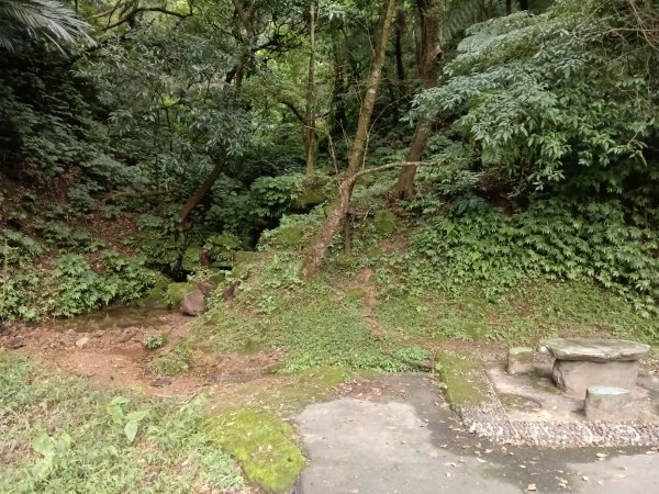 汐止區茄苳越嶺古道+上鹿窟崙山+九層坪山+四分尾山+大尖山8字走2981586