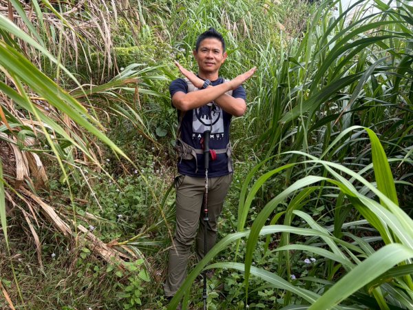 金瀧多越嶺古道【好適合新春開運的秘境古道】2987202