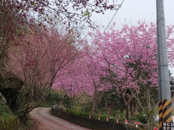 [新竹五峰][三]民都有山北峰(面托油山北峰)、民都有山(面托油山)、清泉山(面托油山西峰、民都有山西峰)、清泉山西(面托油山西峰西、民都有山西峰西)、比林山東北峰、鵝公髻山東北峰、鵝公髻山、大隘山