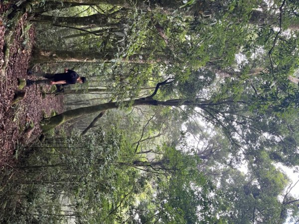 雲林小百岳-石壁山2850063