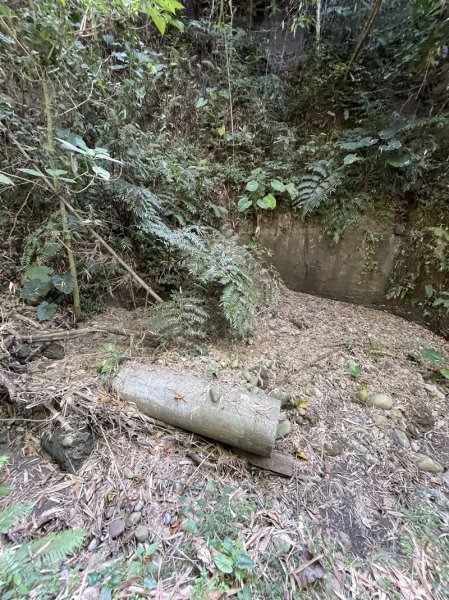 龍過脈森林步道2662511