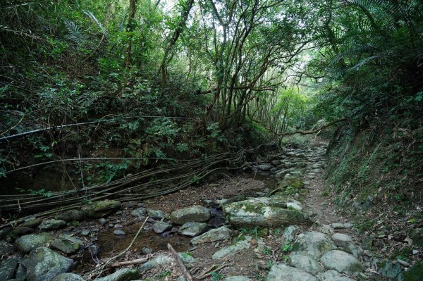 宜蘭 頭城 石空古道、太和山、石空山2398498