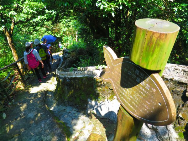 搭著捷運去旅行-白石湖賞花輕旅行610440