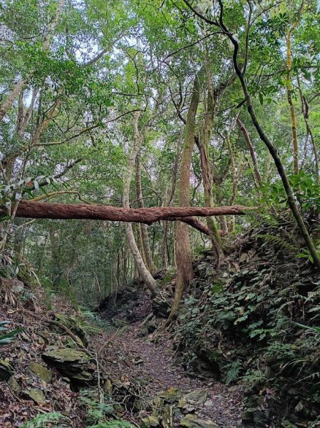 2025 12/27 鳴海山2971004