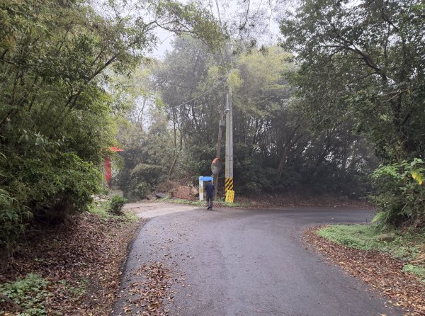 [樟之細路_第一大段RSA06] 2026_0329 打牛崎古道3027154