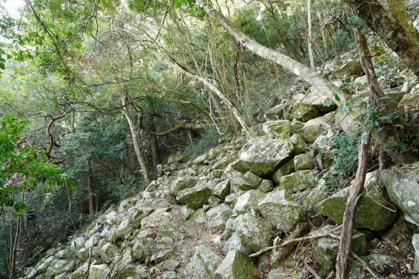 台中 和平 東卯山2674531