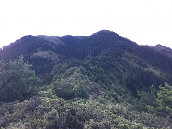 大霸群峰380209