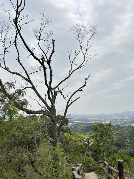 小百岳-大社觀音山2752486