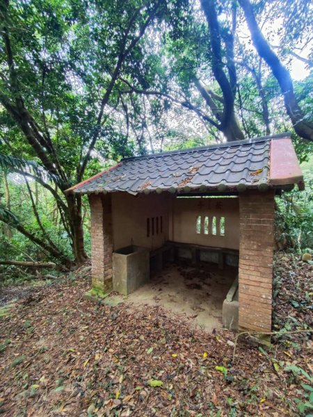 三義三通嶺-銅鑼杭菊（古道巡禮類環島小探險近25K）2957965