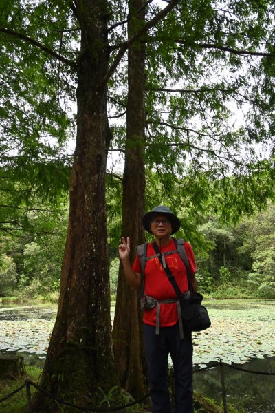 2025_0712 福山植物園2836161