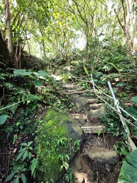 (鳶山山系)鳶山彩壁-2025微笑山線大縱走尋寶集章任務2855200